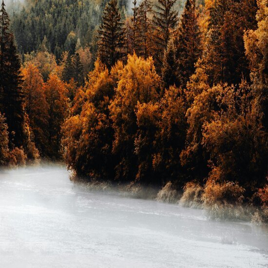 🍁So passt du deine Hautpflege dem Herbst an – ganz ohne Neukauf